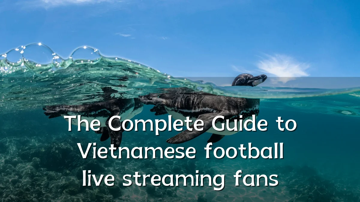 The Complete Guide to Vietnamese football live streaming fans