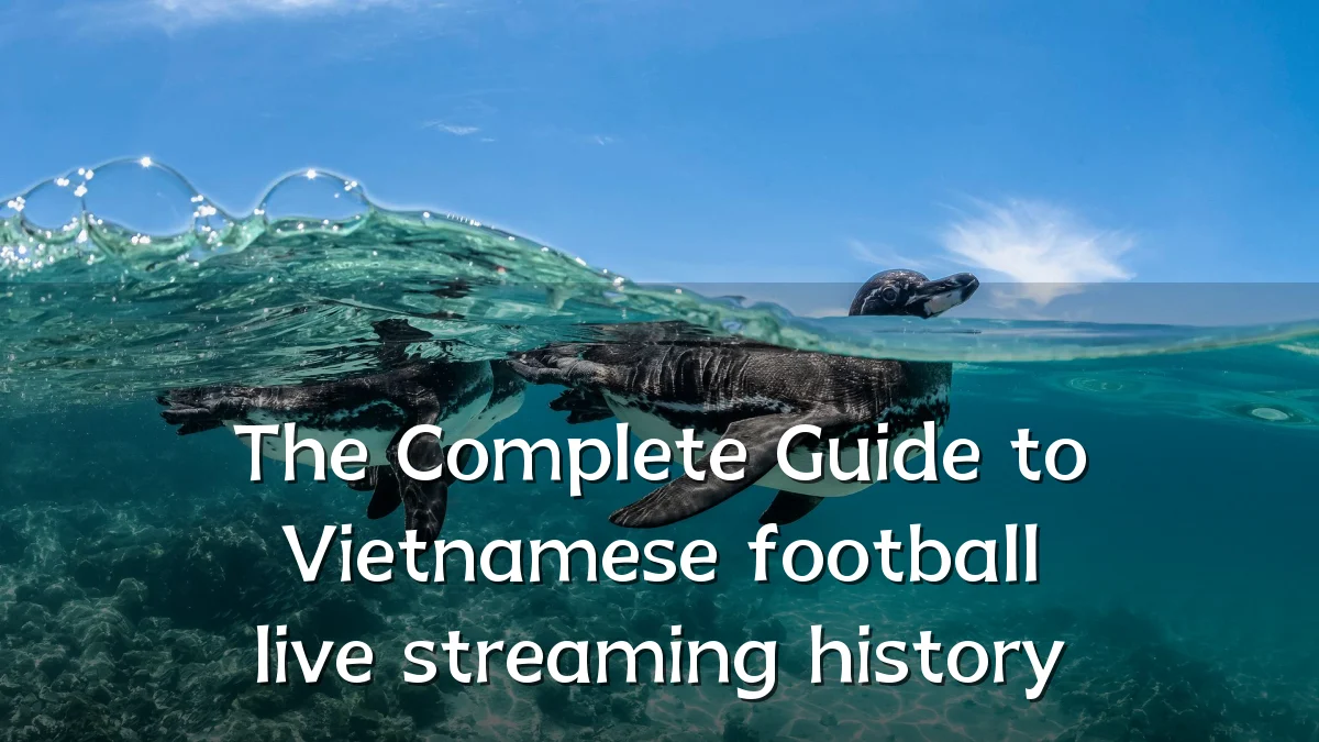 The Complete Guide to Vietnamese football live streaming history