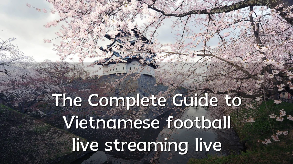 The Complete Guide to Vietnamese football live streaming live