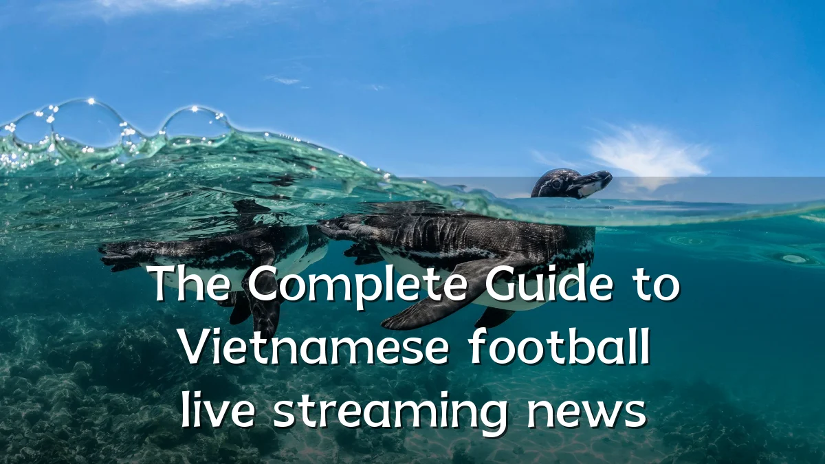 The Complete Guide to Vietnamese football live streaming news