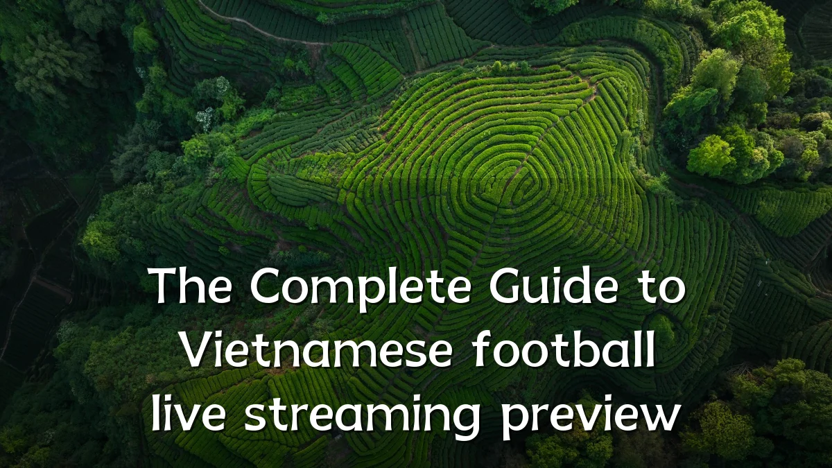 The Complete Guide to Vietnamese football live streaming preview