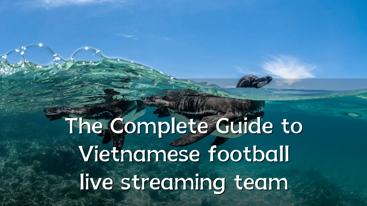 The Complete Guide to Vietnamese football live streaming team