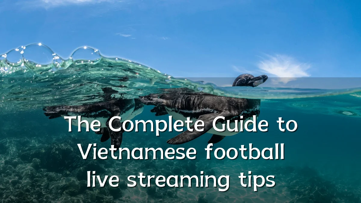 The Complete Guide to Vietnamese football live streaming tips