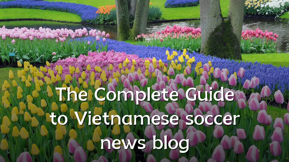 The Complete Guide to Vietnamese soccer news blog
