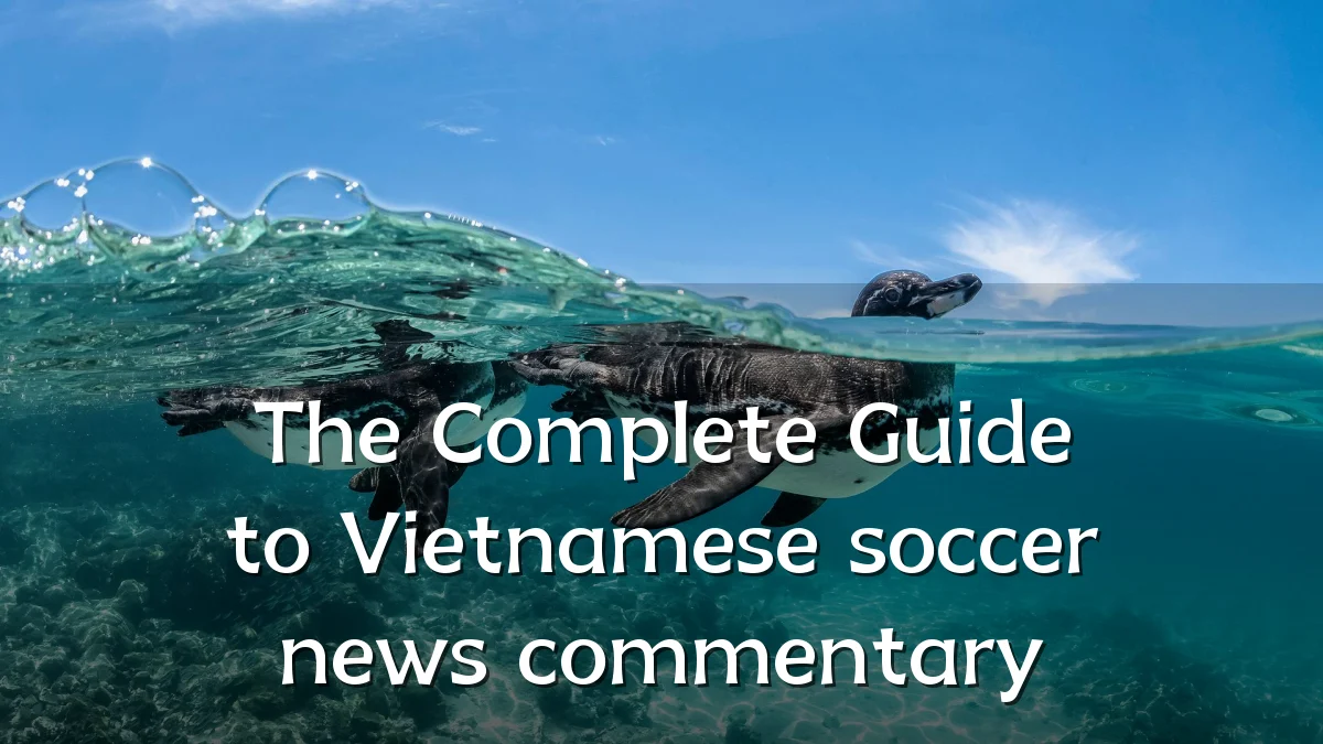The Complete Guide to Vietnamese soccer news commentary