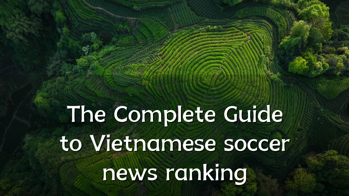 The Complete Guide to Vietnamese soccer news ranking