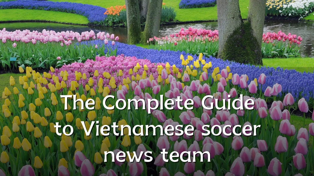 The Complete Guide to Vietnamese soccer news team