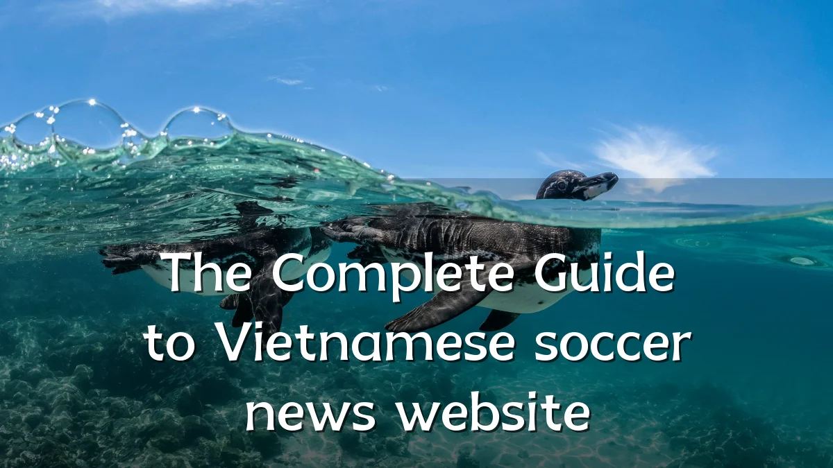 The Complete Guide to Vietnamese soccer news website