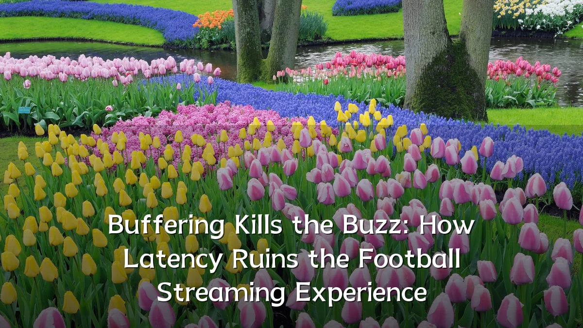 Buffering Kills the Buzz: How Latency Ruins the Football Streaming Experience