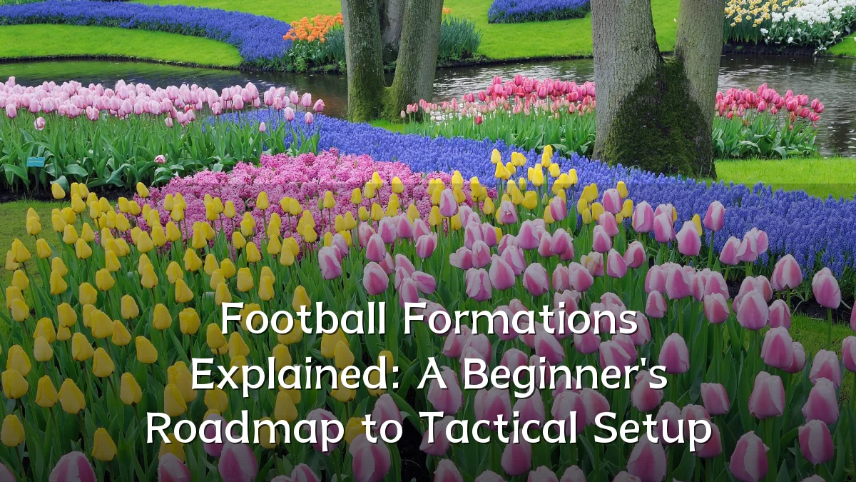 Football Formations Explained: A Beginner's Roadmap to Tactical Setup