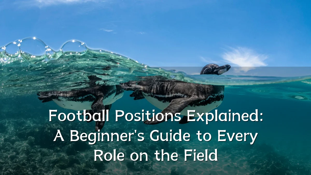 Football Positions Explained: A Beginner's Guide to Every Role on the Field
