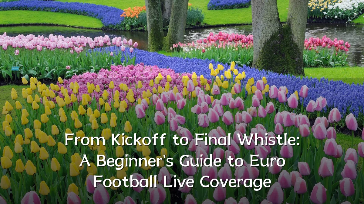From Kickoff to Final Whistle: A Beginner's Guide to Euro Football Live Coverage