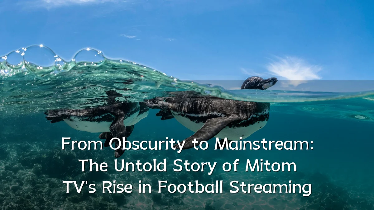 From Obscurity to Mainstream: The Untold Story of Mitom TV's Rise in Football Streaming