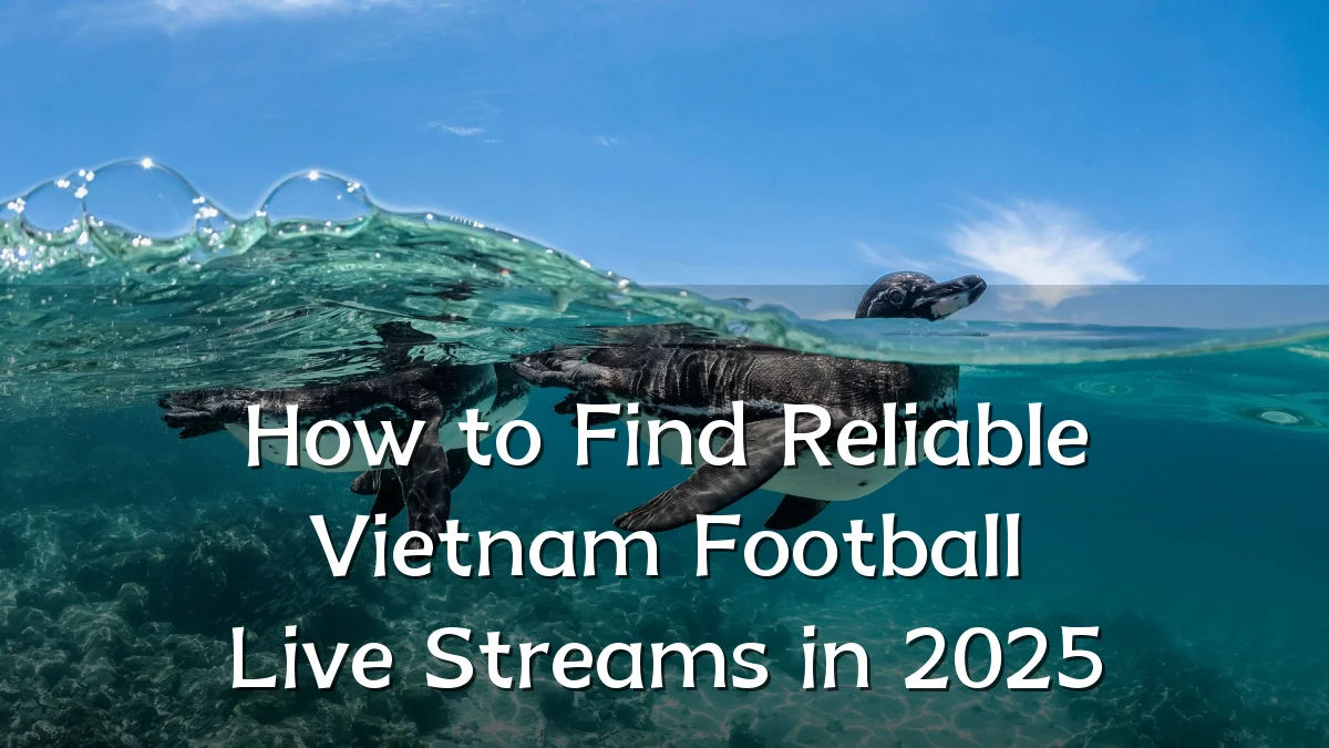 How to Find Reliable Vietnam Football Live Streams in 2025