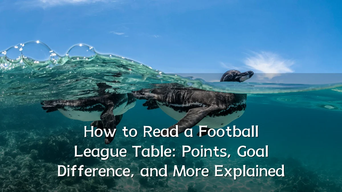 How to Read a Football League Table: Points, Goal Difference, and More Explained