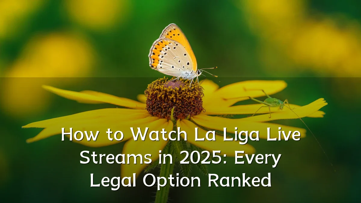 How to Watch La Liga Live Streams in 2025: Every Legal Option Ranked