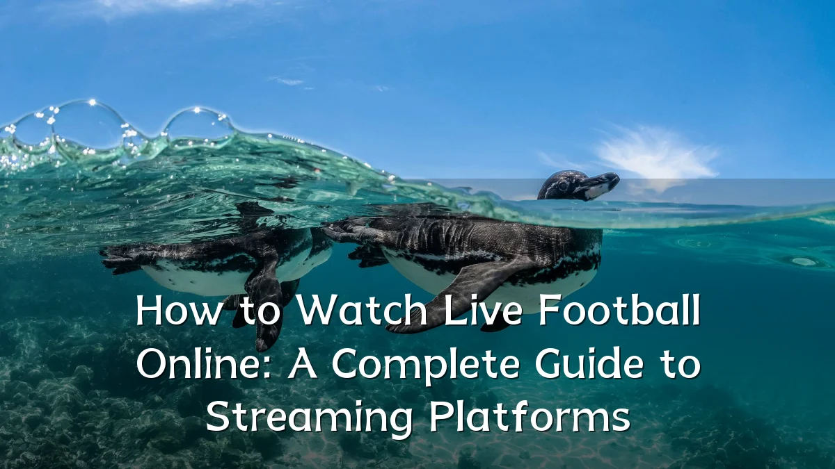 How to Watch Live Football Online: A Complete Guide to Streaming Platforms