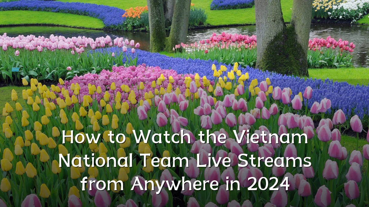 How to Watch the Vietnam National Team Live Streams from Anywhere in 2024