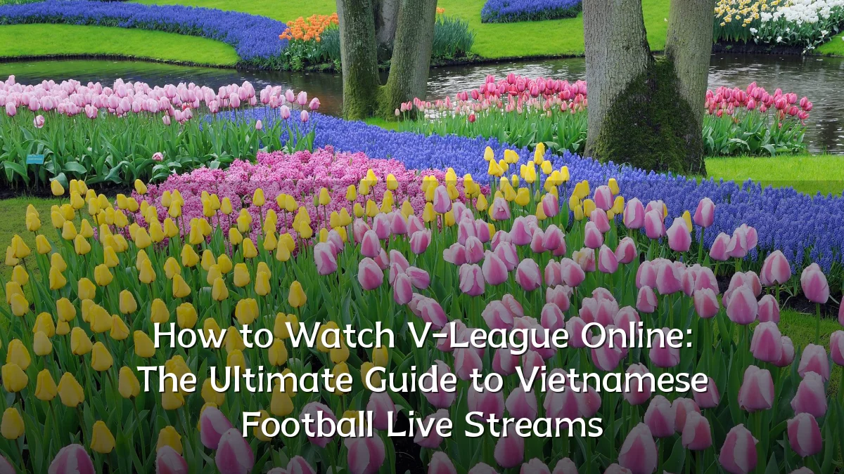How to Watch V-League Online: The Ultimate Guide to Vietnamese Football Live Streams