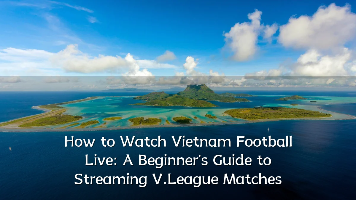How to Watch Vietnam Football Live: A Beginner's Guide to Streaming V.League Matches