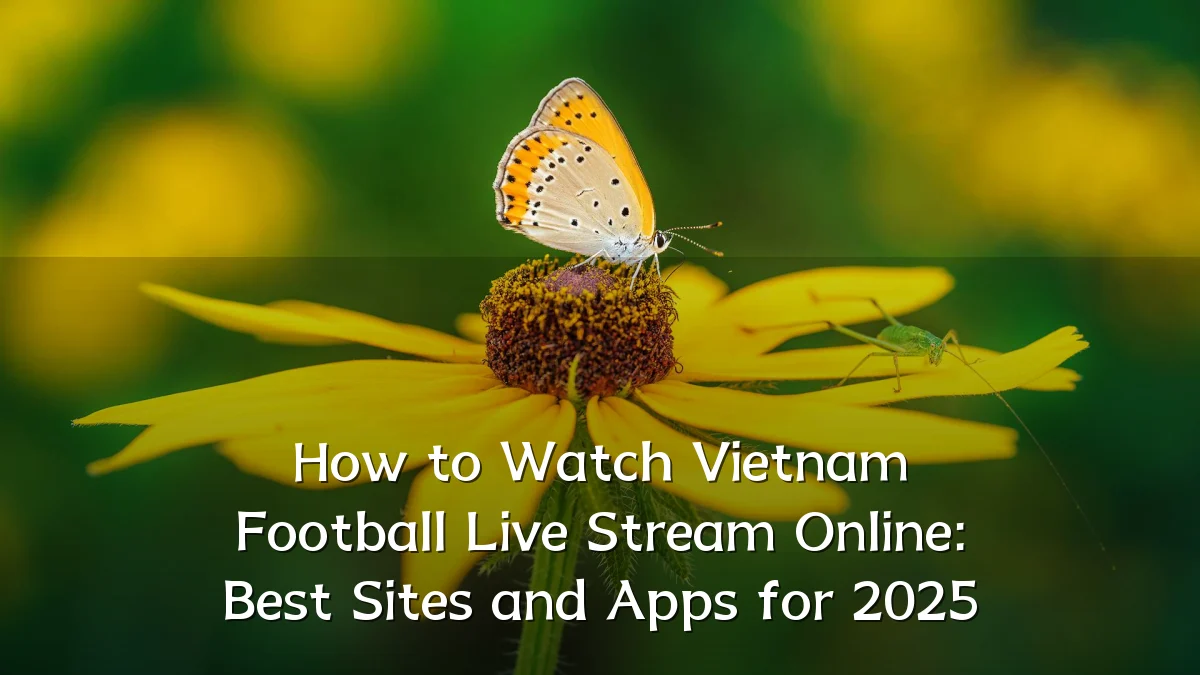 How to Watch Vietnam Football Live Stream Online: Best Sites and Apps for 2025