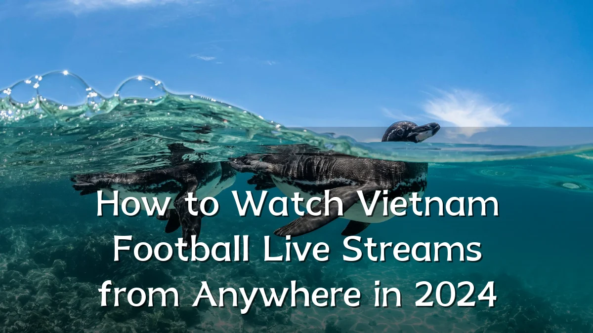 How to Watch Vietnam Football Live Streams from Anywhere in 2024