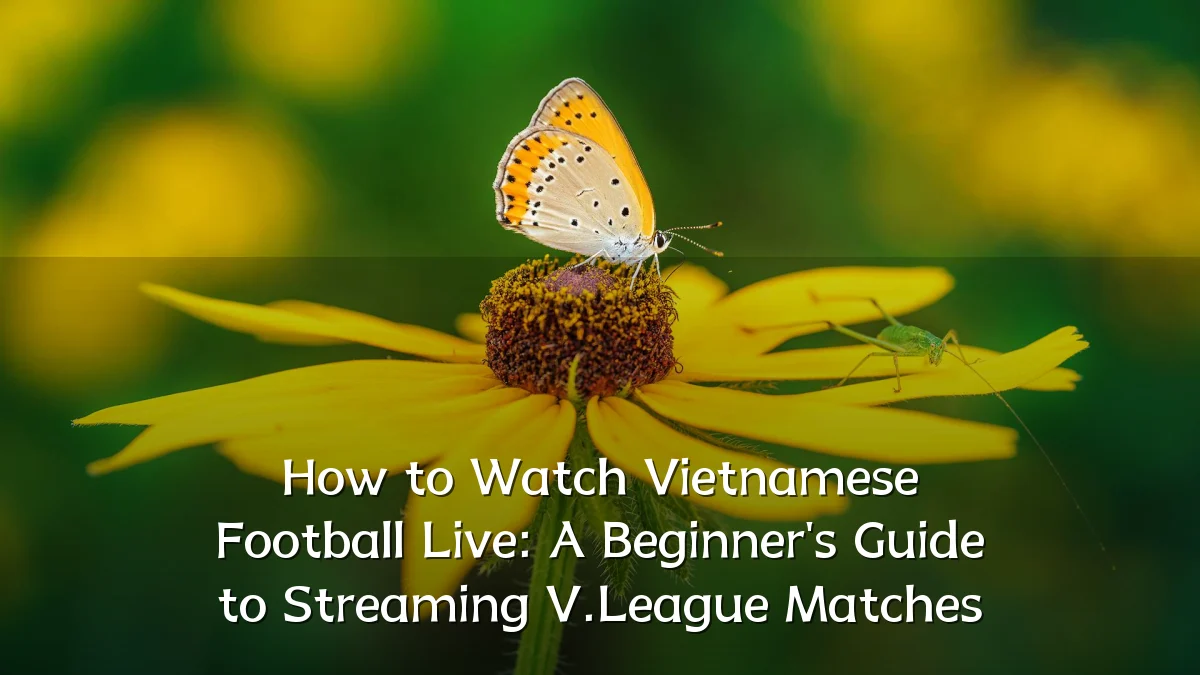 How to Watch Vietnamese Football Live: A Beginner's Guide to Streaming V.League Matches