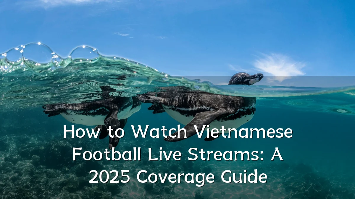 How to Watch Vietnamese Football Live Streams: A 2025 Coverage Guide
