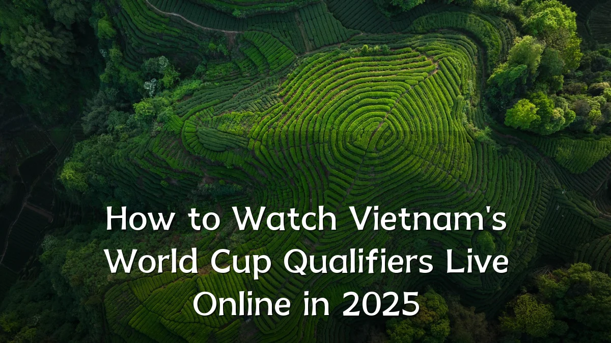 How to Watch Vietnam's World Cup Qualifiers Live Online in 2025