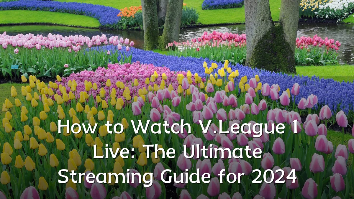 How to Watch V.League 1 Live: The Ultimate Streaming Guide for 2024