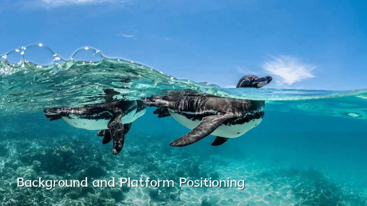 Background and Platform Positioning