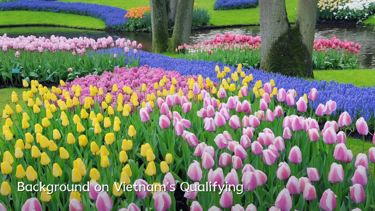 Background on Vietnam's Qualifying