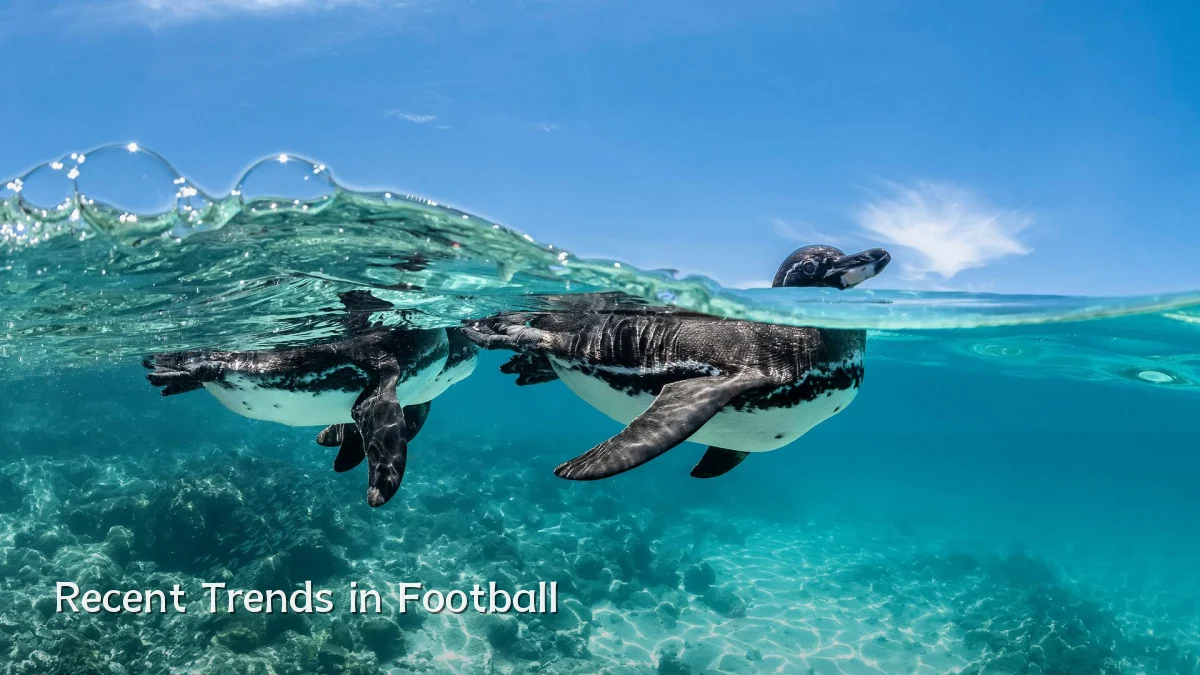 Recent Trends in Football