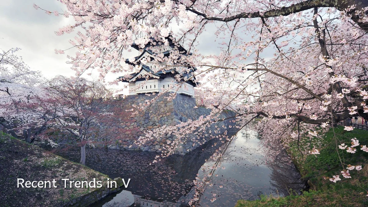 Recent Trends in V