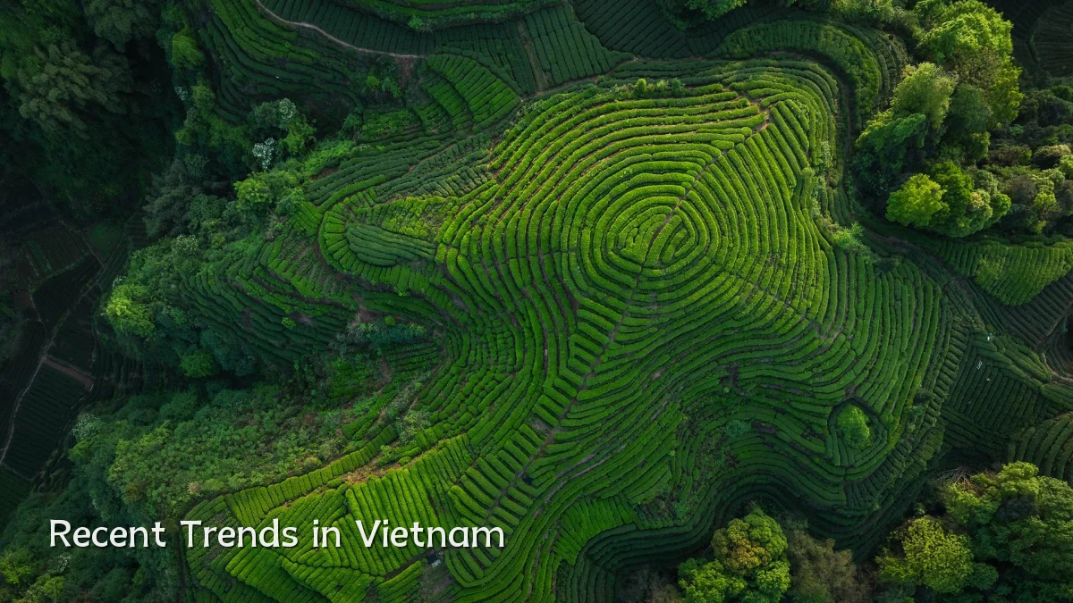 Recent Trends in Vietnam