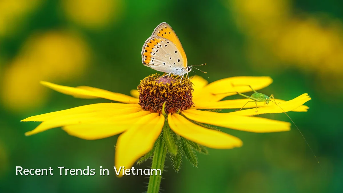Recent Trends in Vietnam