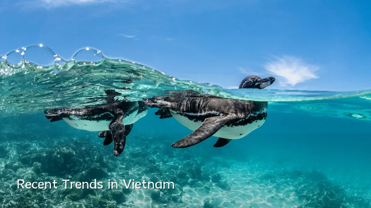 Recent Trends in Vietnam
