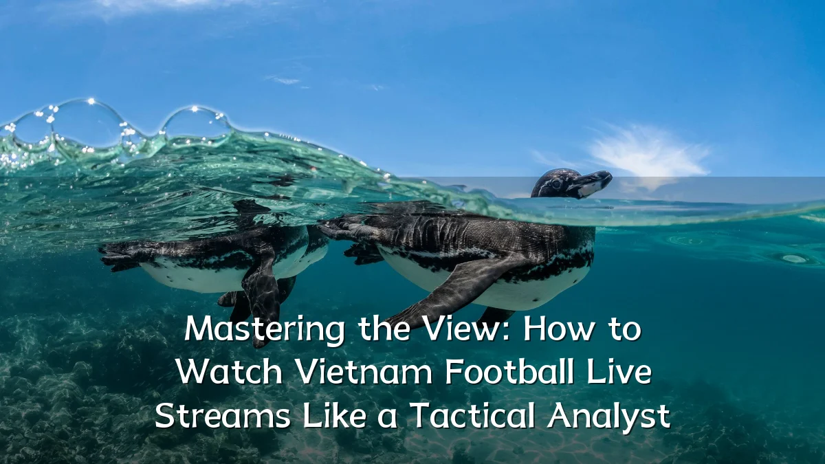 Mastering the View: How to Watch Vietnam Football Live Streams Like a Tactical Analyst