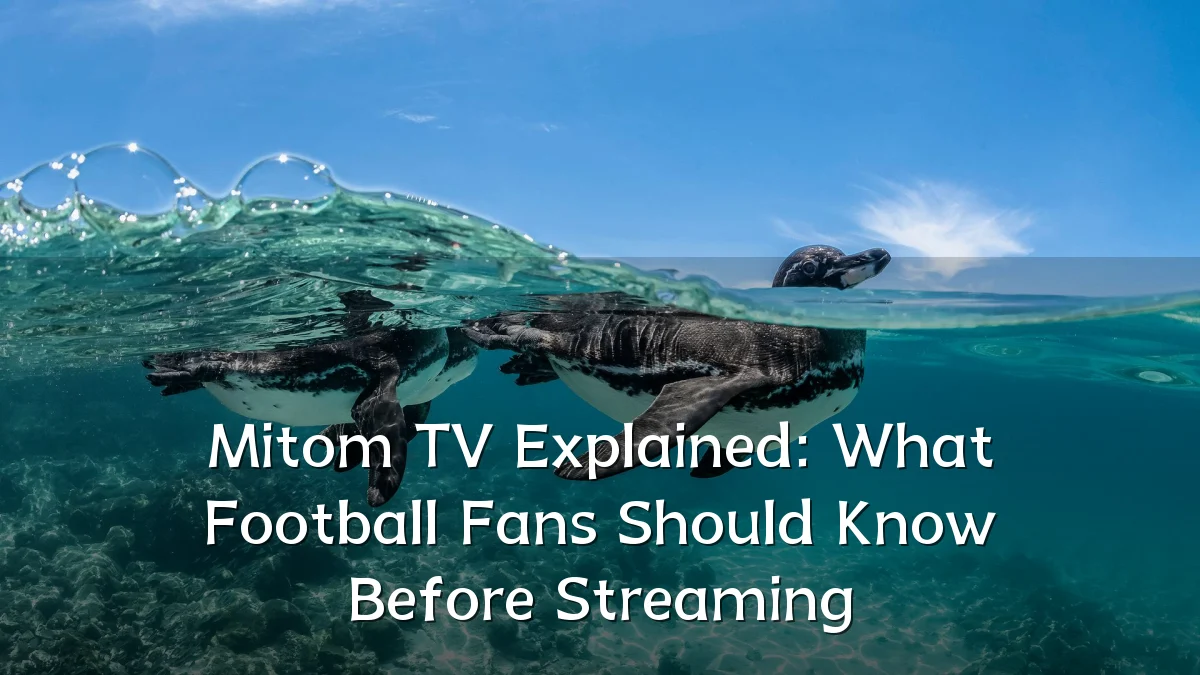Mitom TV Explained: What Football Fans Should Know Before Streaming