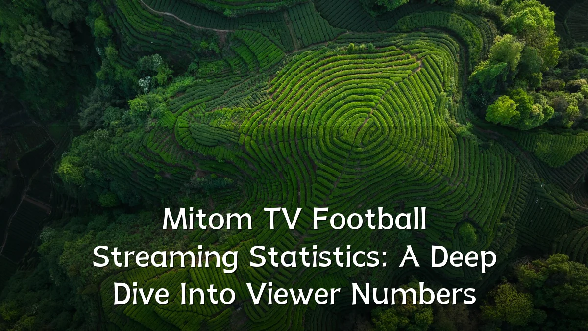 Mitom TV Football Streaming Statistics: A Deep Dive Into Viewer Numbers