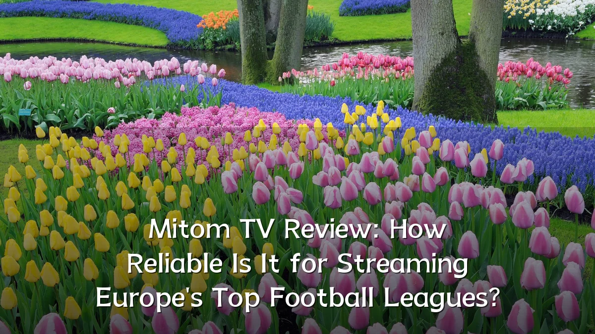 Mitom TV Review: How Reliable Is It for Streaming Europe's Top Football Leagues?