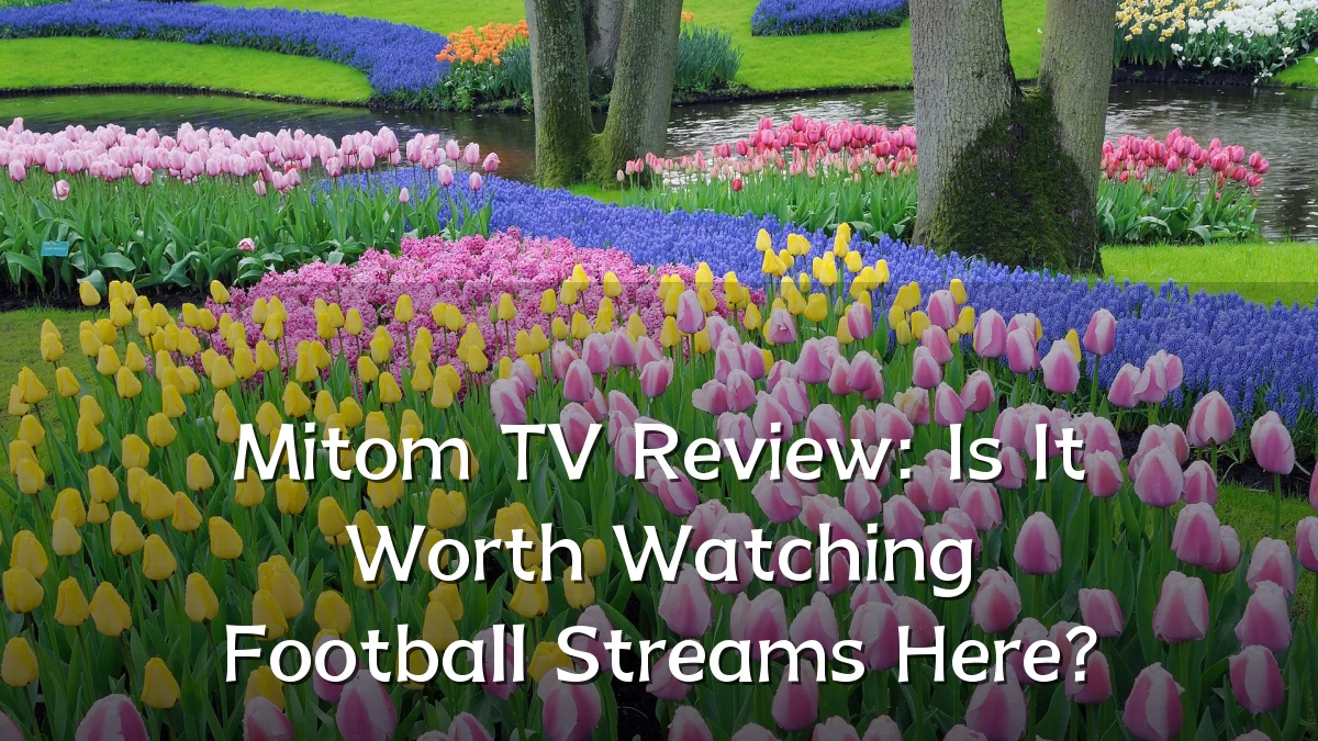 Mitom TV Review: Is It Worth Watching Football Streams Here?