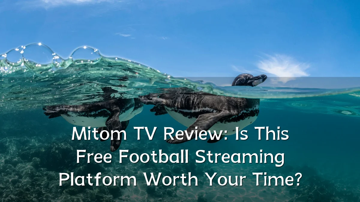 Mitom TV Review: Is This Free Football Streaming Platform Worth Your Time?