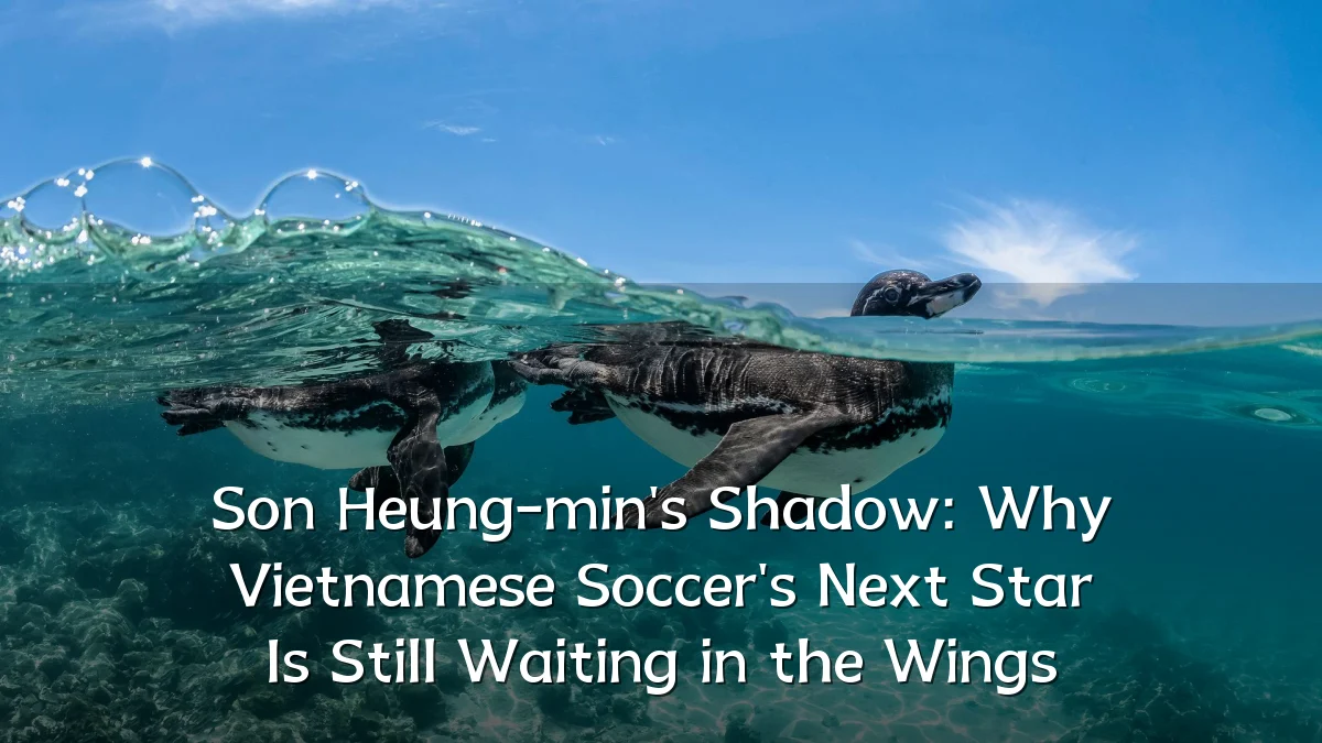Son Heung-min's Shadow: Why Vietnamese Soccer's Next Star Is Still Waiting in the Wings