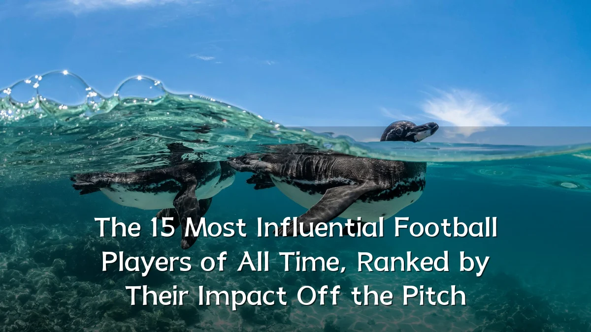 The 15 Most Influential Football Players of All Time, Ranked by Their Impact Off the Pitch
