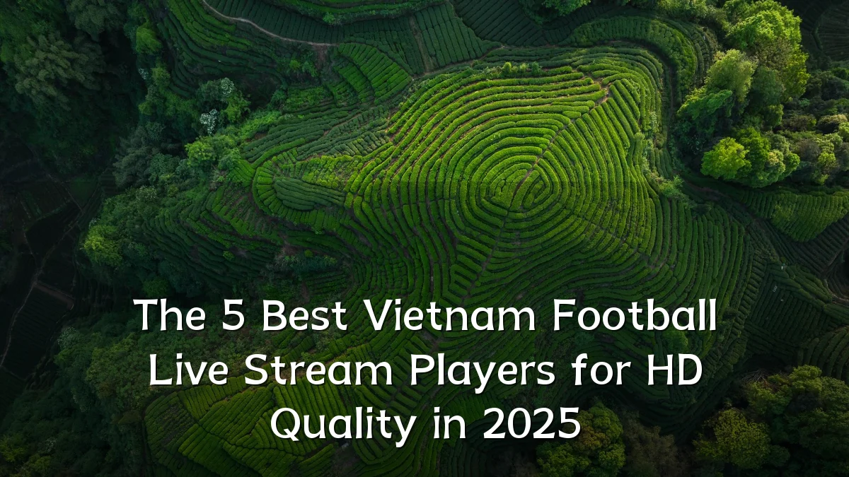 The 5 Best Vietnam Football Live Stream Players for HD Quality in 2025