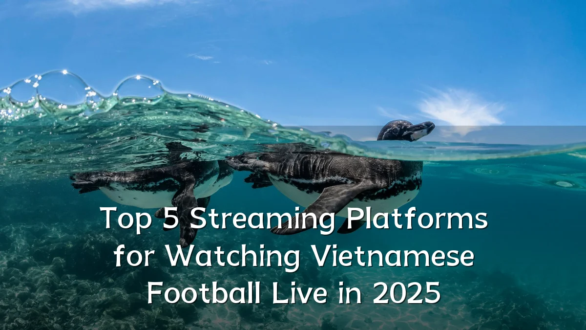 Top 5 Streaming Platforms for Watching Vietnamese Football Live in 2025