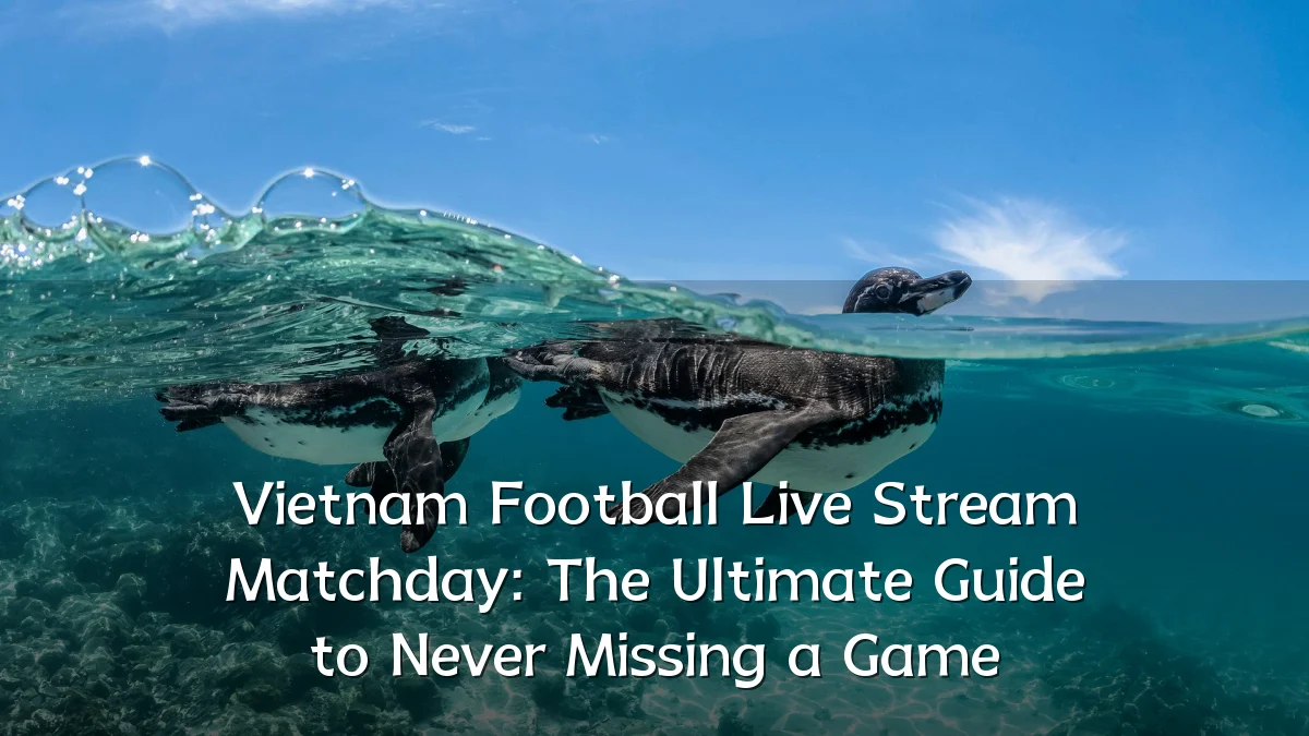 Vietnam Football Live Stream Matchday: The Ultimate Guide to Never Missing a Game