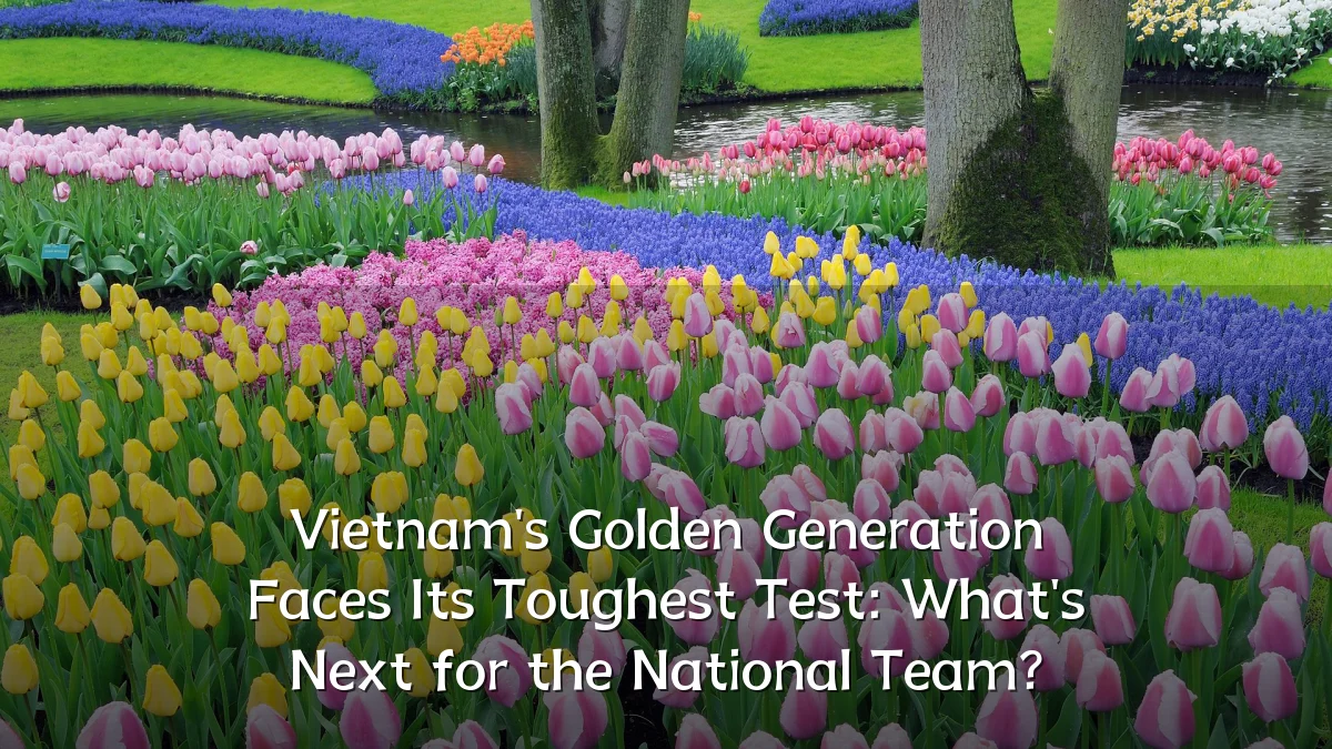 Vietnam's Golden Generation Faces Its Toughest Test: What's Next for the National Team?