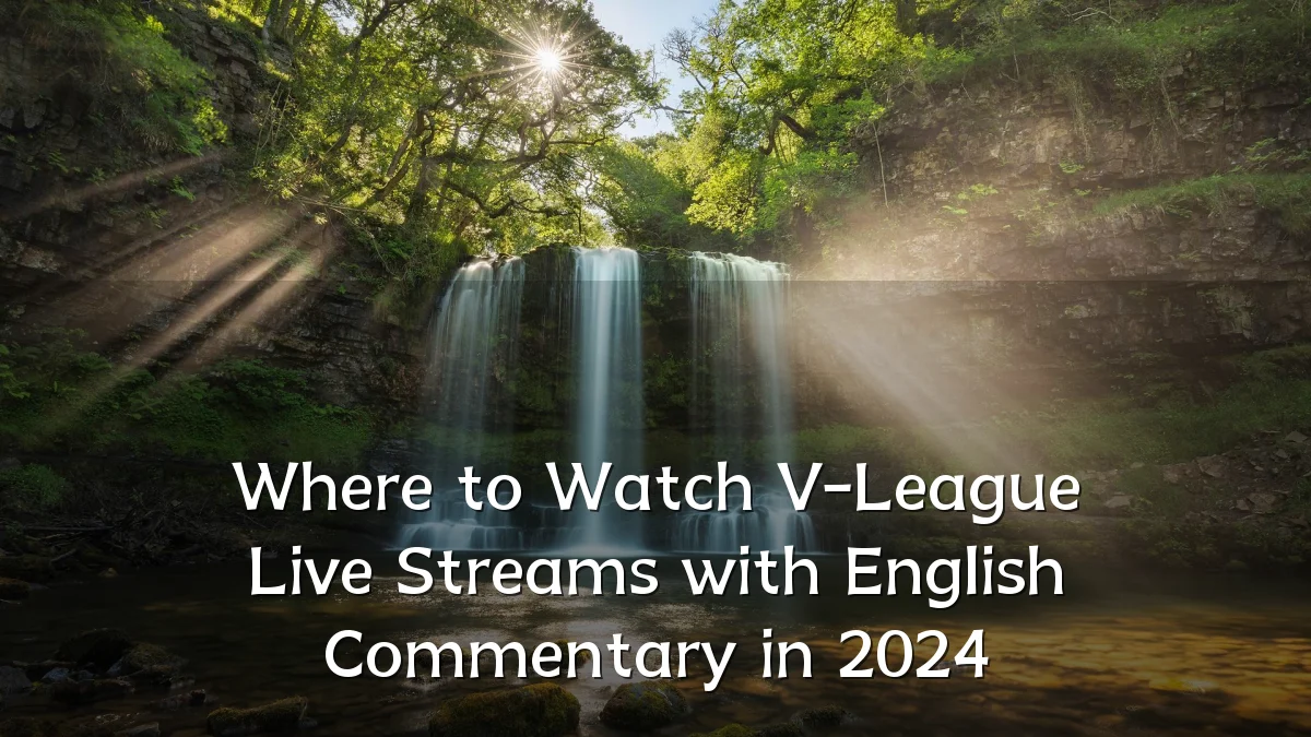 Where to Watch V-League Live Streams with English Commentary in 2024